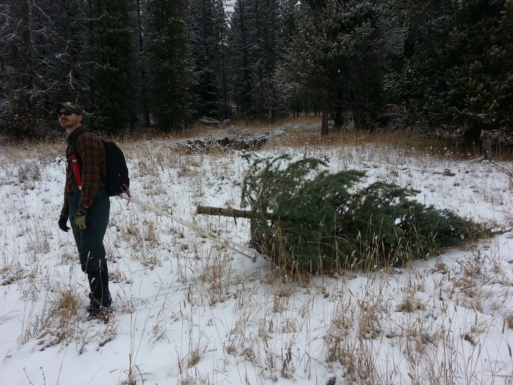 Sam pulls a Christmas tree with his pulk sled and GORUCK GR1