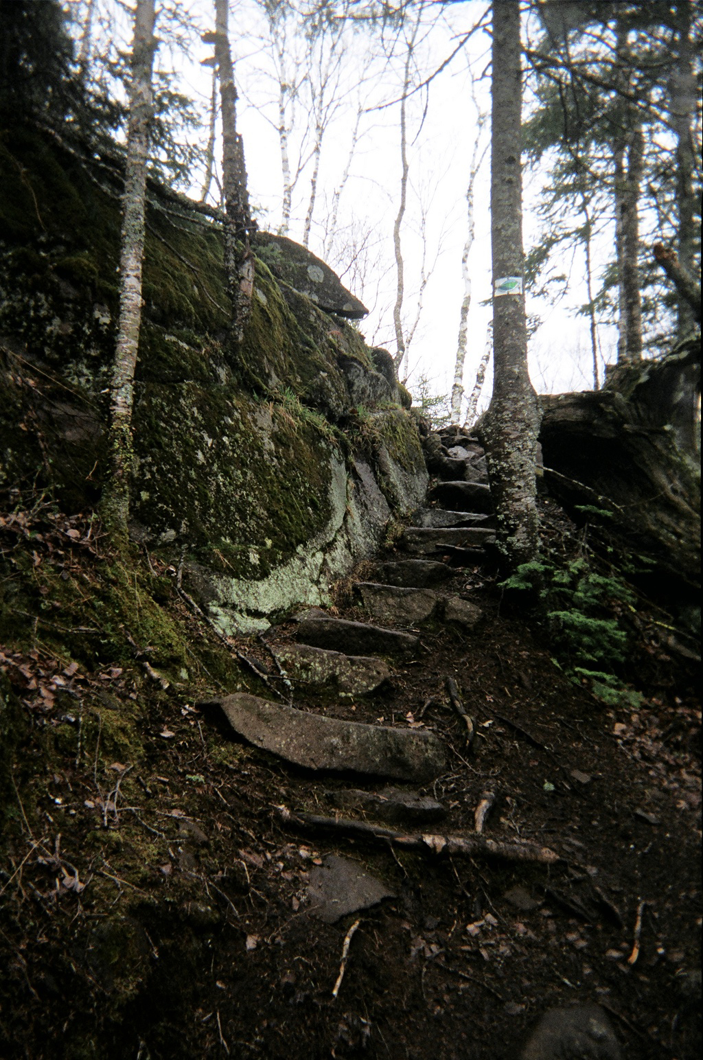 rocksteps-lutsen